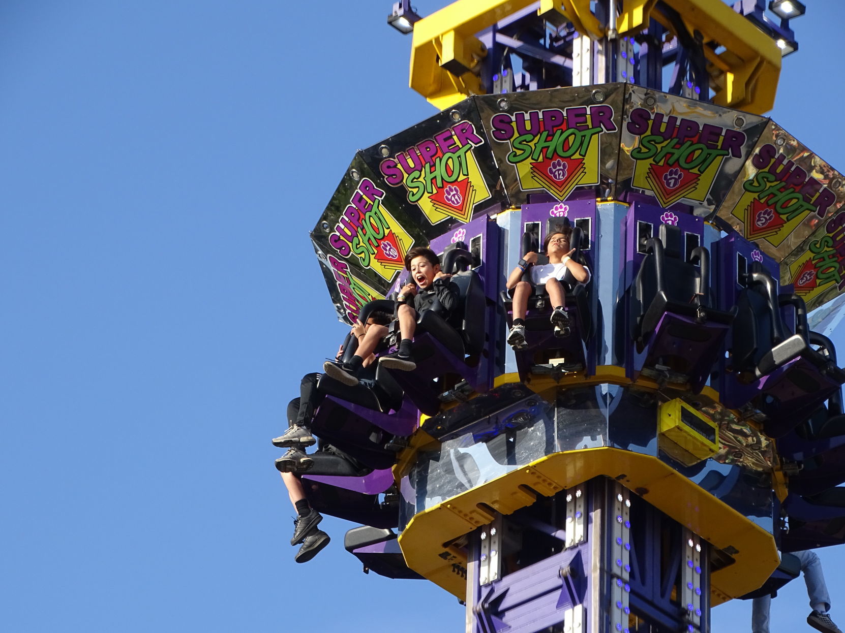 Napa Town & Country Fair 2019